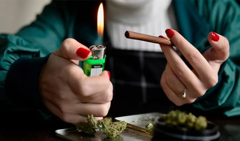 Rechazan la idea de que el cannabis sea la puerta de ingreso al consumo de otras drogas