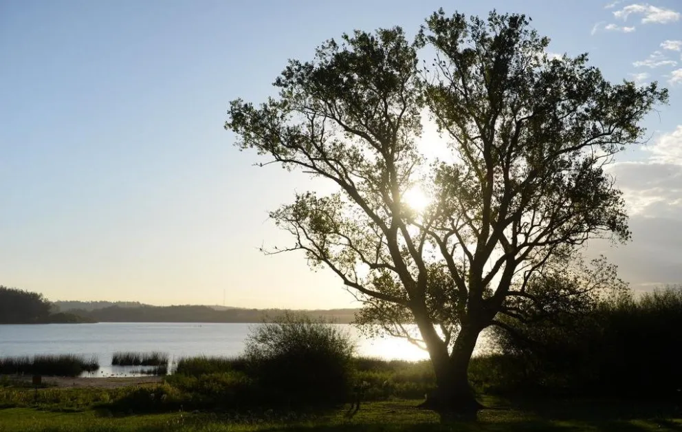 Se conocieron más detalles sobre el cuerpo encontrado en Laguna de los Padres