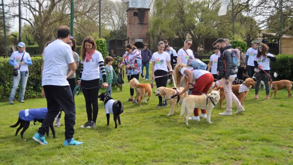 Inscripción presencial y retiro de kits para PetRun
