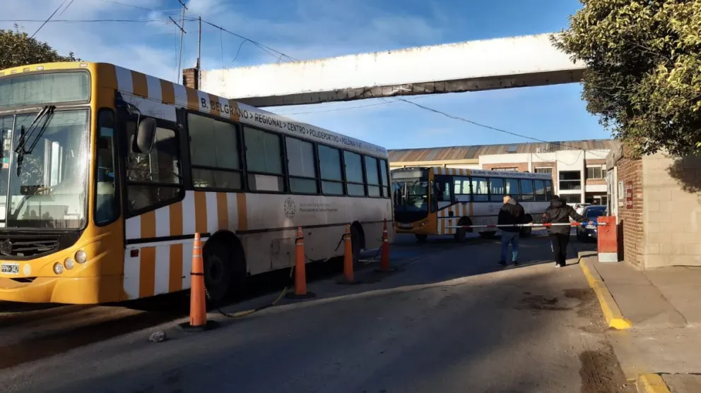 Confirmado: vuelven a circular los micros en Mar del Plata