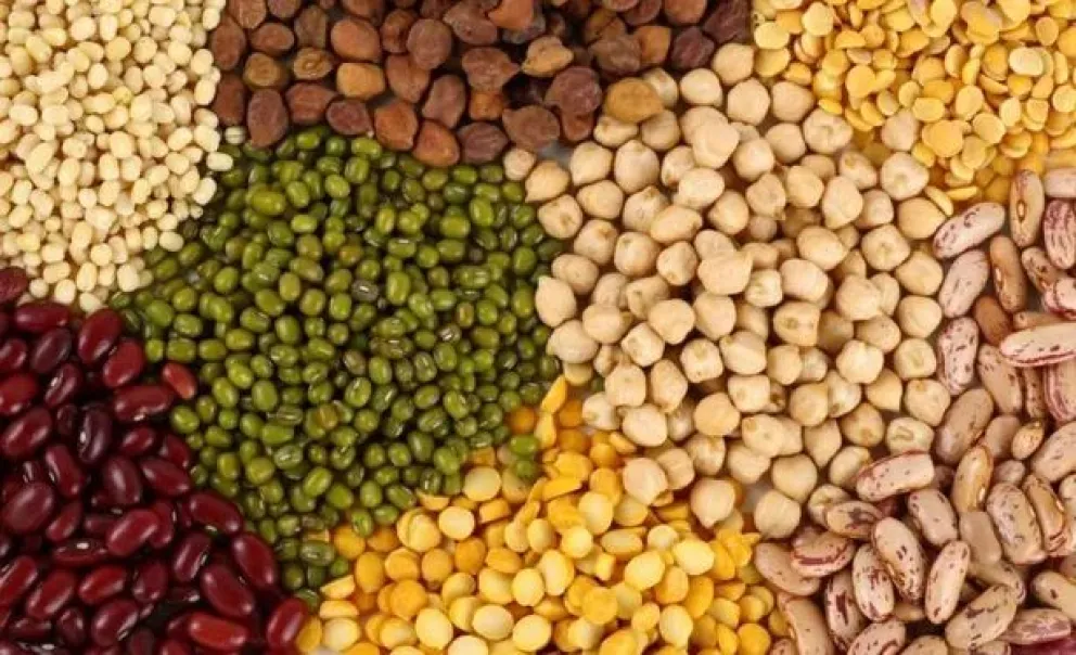 Banco de Alimentos Mar del Plata