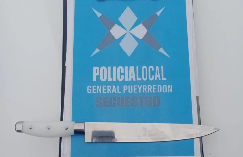 Detuvieron a una mujer que asaltó un comercio armada con una cuchilla