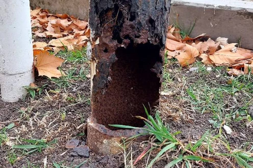 Alarma el deplorable estado de las columnas de alumbrado en las inmediaciones del estadio Minella