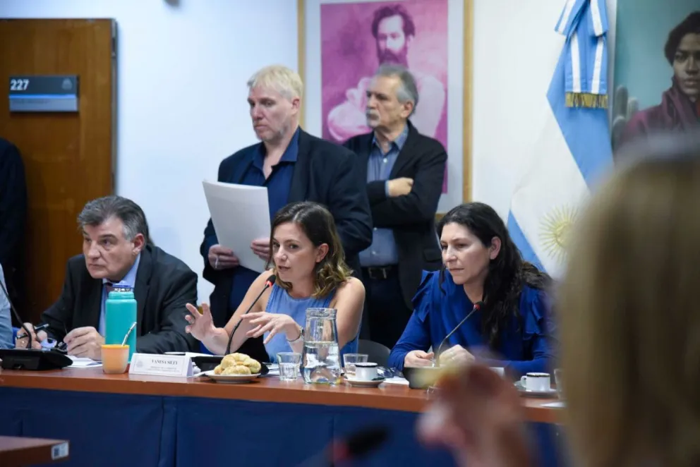 En plenario de Diputados, se inició el debate sobre tareas de cuidado