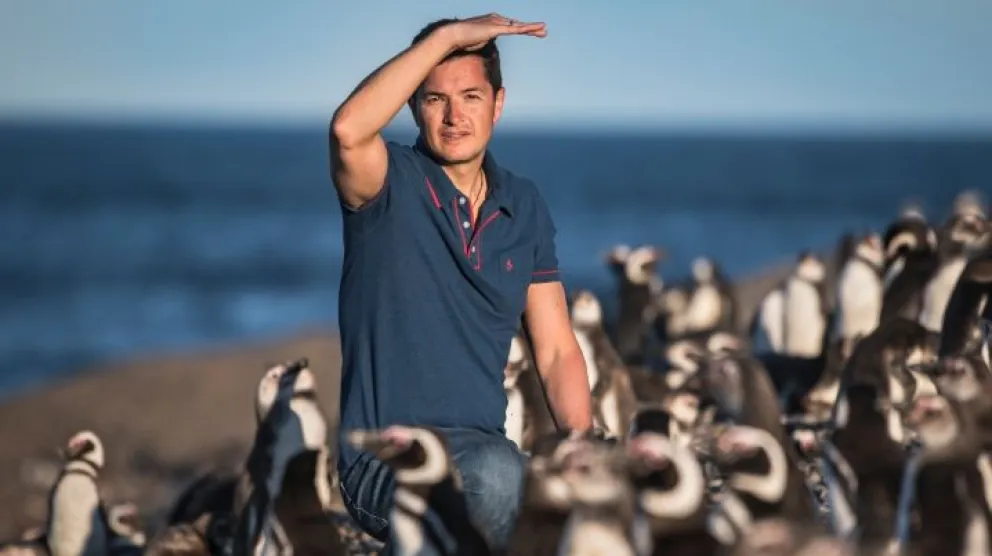Pablo Borboroglu, el marplatense que ganó el "Nobel Verde" por su labor mundial en la conservación de los pingüinos