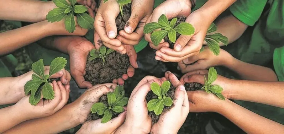 La educación ambiental no se trata sólo del cuidado de la naturaleza
