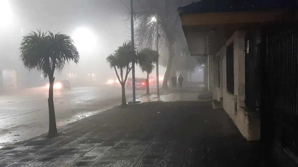 Video: La niebla, protagonista absoluta de las primeras horas en Mar del Plata