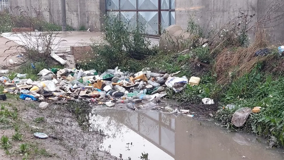 Acumulación de basura en vía pública provocó anegamientos en calles del barrio Don Emilio