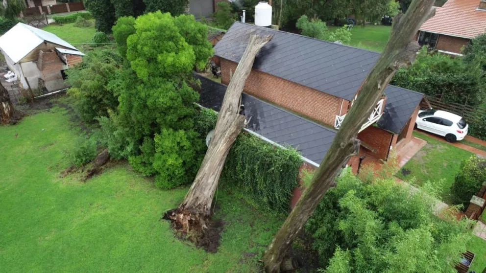 La tormenta provocó caída de un gran árbol y graves daños sobre un chalet en Bosque Peralta Ramos