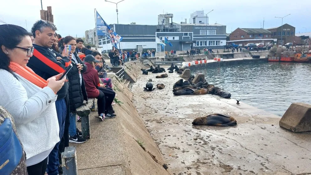 Fin de semana largo: Mar del Plata ya supera los 100 mil turistas