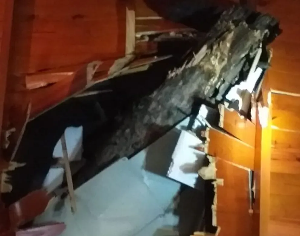 Habló el dueño de la casa que se le cayó un árbol: "Nos pegamos un susto terrible"