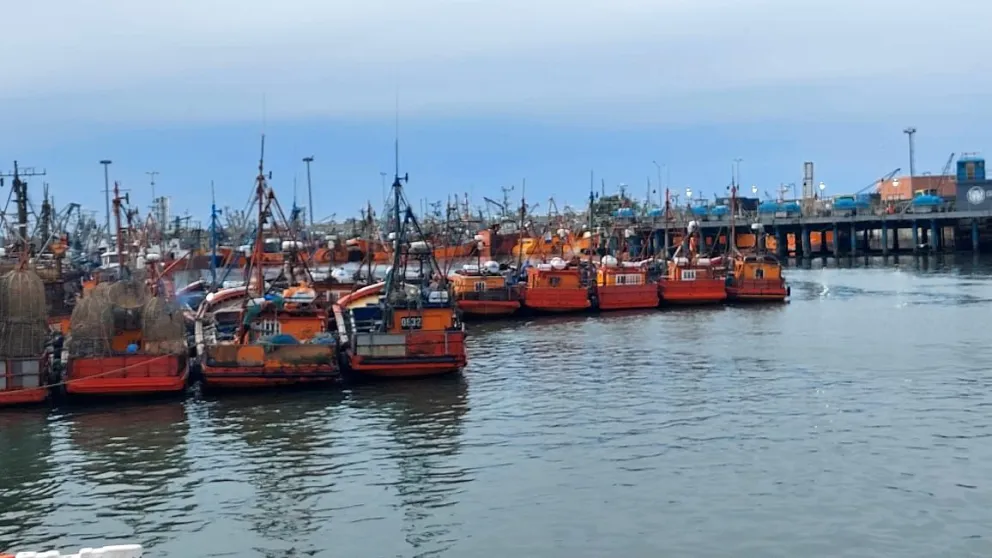 Los capitanes piden que las modificaciones a la Ley de Pesca se traten en un proyecto aparte