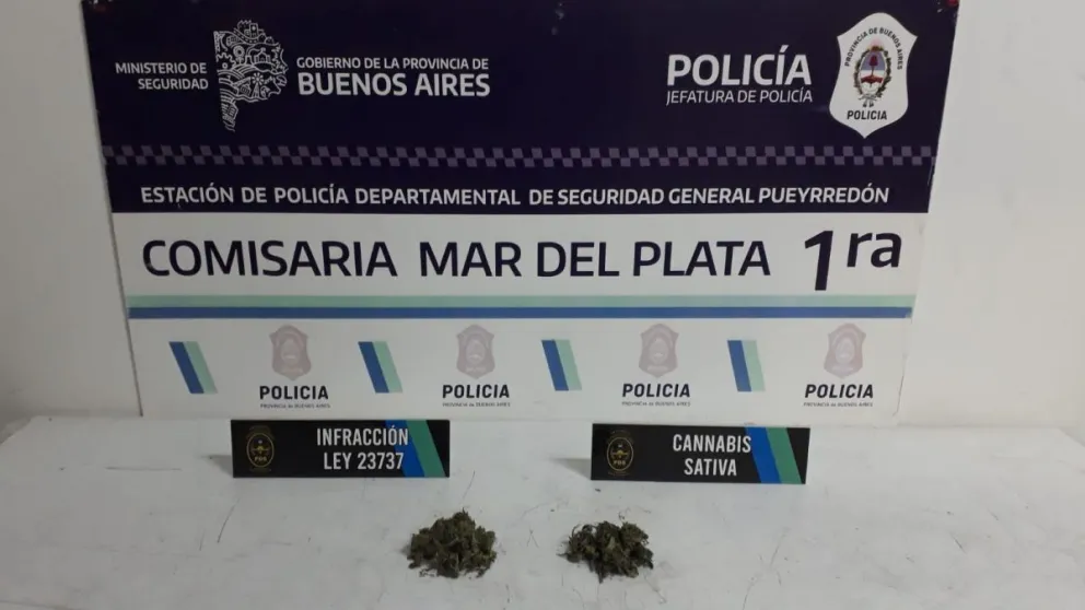 Demoran a un menor y a un mayor que tenían gran cantidad de cannabis sativa en pleno centro