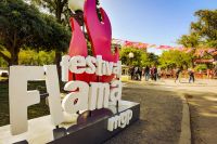 El Festival Flama 2023 llega con temática Freestyle