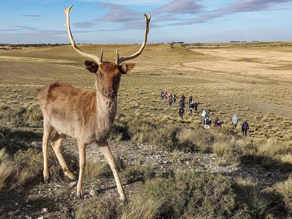 El cruce de FRA-PAL: 7 habitantes y senderos mágicos