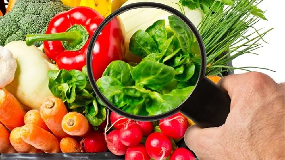 Inocuidad alimentaria: una responsabilidad compartida